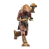 Star Wars BL DLX Fig 3