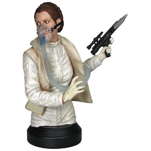 Princess Leia Organa (Mynock Hunt)