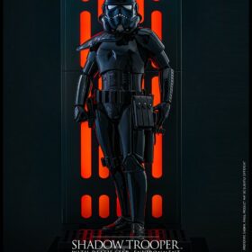 Shadow Trooper with Death Star Environment